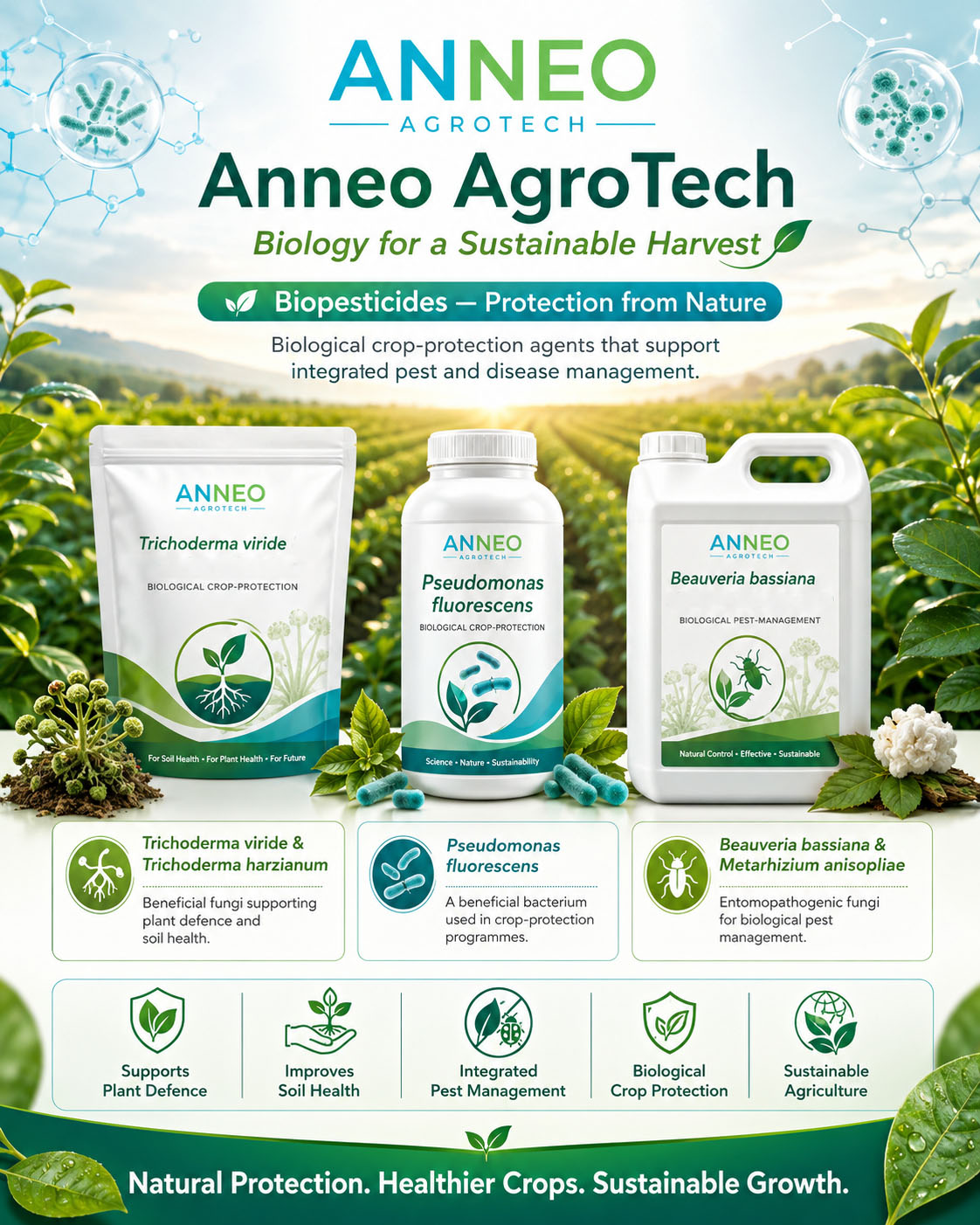 Biopesticide lab work