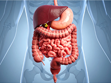 Postbiotics wellness article preview